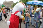 IMG_9617